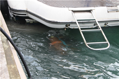 高壓清洗機(jī),進(jìn)口高壓清洗機(jī),高壓清洗機(jī)價(jià)格,超高壓清洗機(jī)