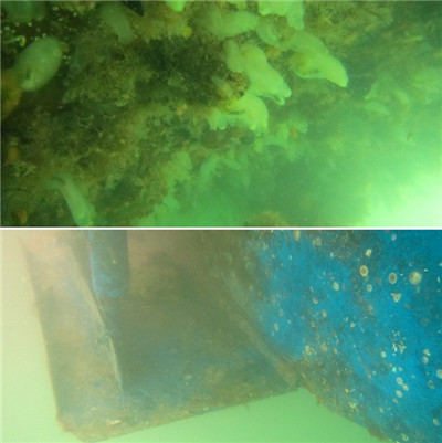 高壓清洗機(jī),進(jìn)口高壓清洗機(jī),高壓清洗機(jī)價(jià)格,超高壓清洗機(jī)