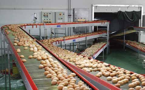 高壓清洗機(jī),進(jìn)口高壓清洗機(jī),高壓清洗機(jī)價(jià)格,超高壓清洗機(jī)